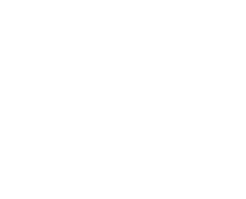 five logo white