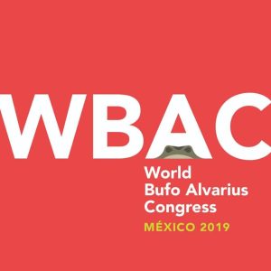 wbac